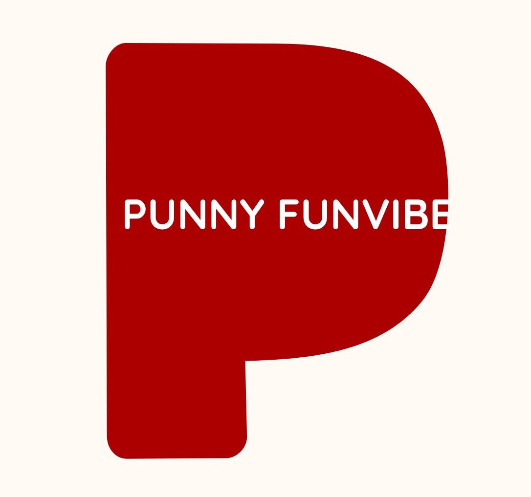 punnyfunvibe.com